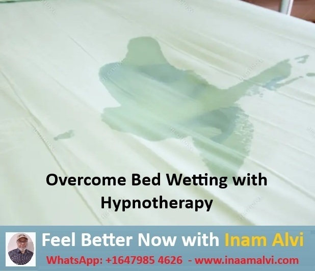 انعام علوی سے ملیں